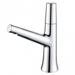 Grifo de Lavabo para Agua...
