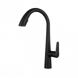 Grifo de Cocina para Agua...
