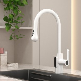 Grifo de Cocina para Agua...